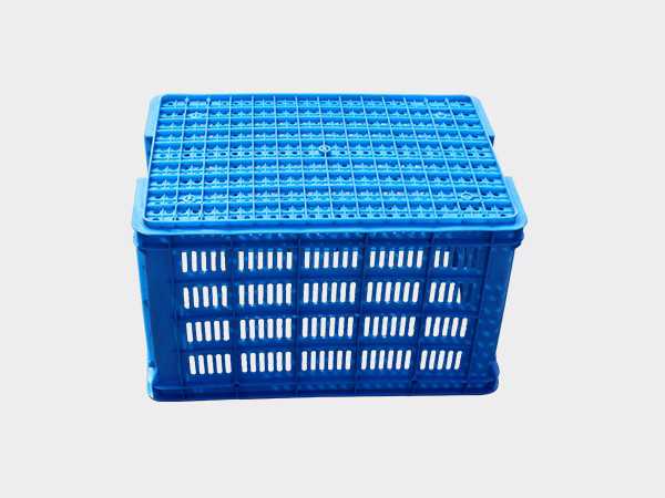 飞龙真人棋牌飞龙软件官网700飞龙体育数据盘口周转筐厚筐