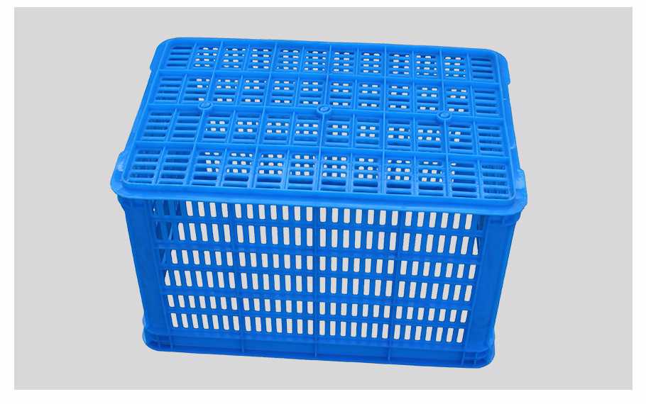 飞龙真人棋牌飞龙软件官网520飞龙体育数据盘口周转筐