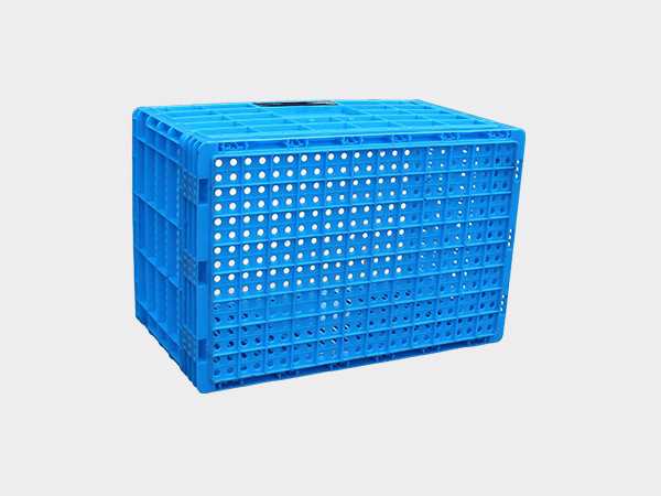 飞龙真人棋牌飞龙软件官网600-340飞龙体育数据盘口飞龙电子捕鱼周转筐