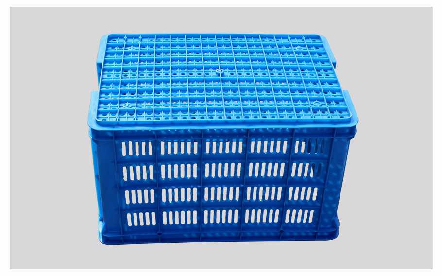 飞龙真人棋牌飞龙软件官网700飞龙体育数据盘口周转筐厚筐